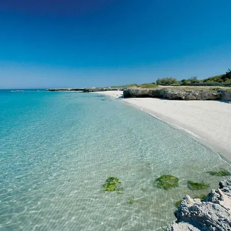 Gardenia * Ostuni