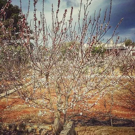 Holiday home Gardenia Ostuni