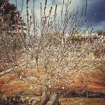 Semesterbostad Gardenia Ostuni