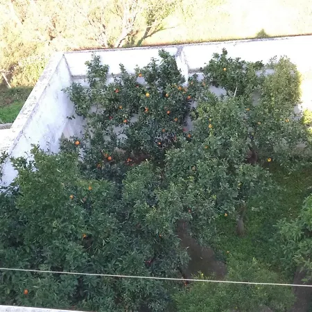 Gardenia * Ostuni