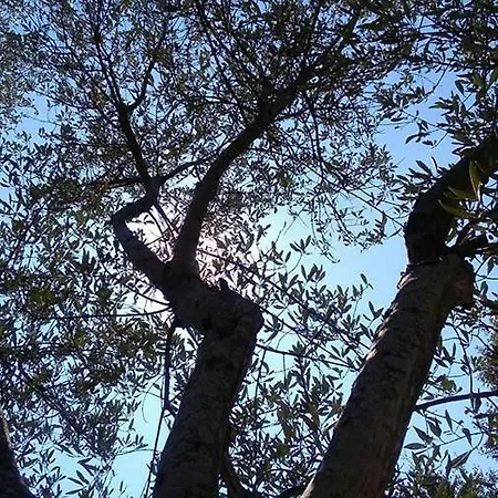 Gardenia Casa vacanze
