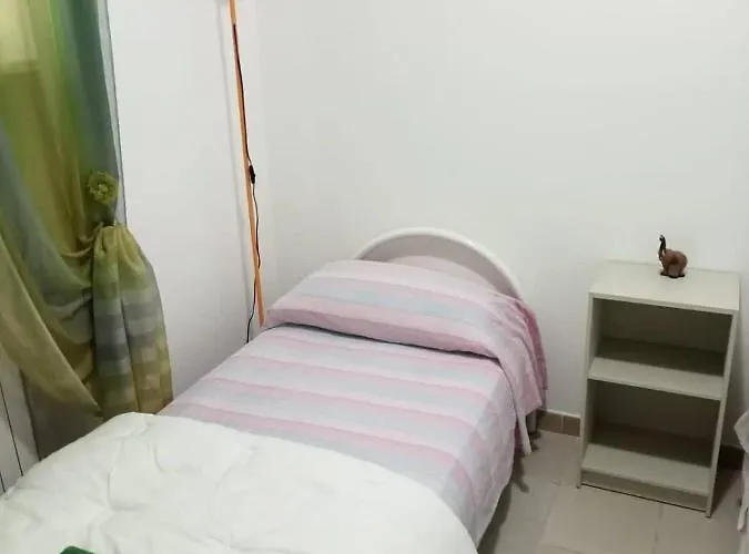Gardenia 奥斯图尼
